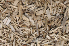 biomass boilers Gyfelia